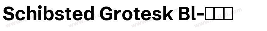 Schibsted Grotesk Bl字体转换